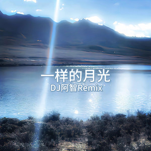 肉棒交媾草逼视
