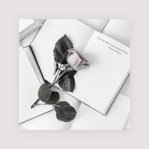 肉棒交媾草逼视
